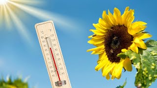 7TageWetter Bis 25 Grad  Spätsommer kommt zurück [upl. by Omlesna]