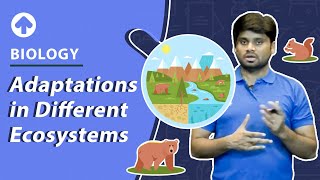 Adaptations in Different Ecosystems  Biology [upl. by Haerr]