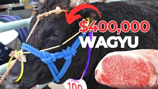 The Surprising Truth About Wagyu Cattle Nobody Tells You [upl. by Epillihp]