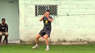 Ellyse Perry  handstand catch [upl. by Isborne]