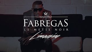 Fabregas Le Metis Noir présente Ibrator  Limousine [upl. by Inalak79]