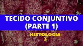 TECIDO CONJUNTIVO PARTE 1  HISTOLOGIA 3 [upl. by Yde]