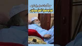 Peer of Sial Sharif Sargodha 🙏🏻 shorts youtubeshorts shortsvideo sialsharif [upl. by Hermosa]