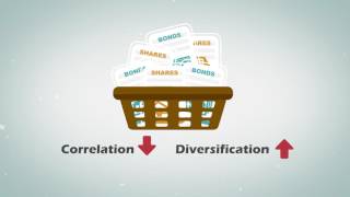 Financial Education – Portfolio Diversification [upl. by Seuguh]