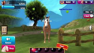 PFERDE PARADIES App deutsch  PFERD FÜTTERN  PFLEGEN  Horse Paradise  Spiel mit mir Games [upl. by Patsy]