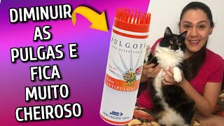 Diminuir as Pulgas do Gato e ainda deixar Cheiroso→ Pulgoff Talco AntiPulgas [upl. by Clotilda]