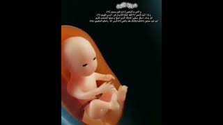 Quran surah Alteen By Paradise world yt short [upl. by Holder]