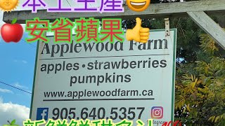 October 10，2024 Applewood Farm 安省蘋果園 [upl. by Ij]