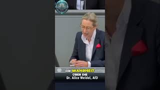 Alice Weidel Die Wahrheit über die Kosten der Subventionen – Was verbergen Politiker 💼🔍 [upl. by Au]