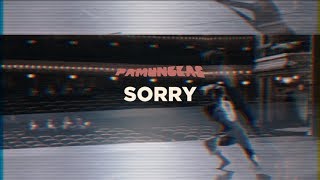 Pamungkas  Sorry Lyrics Video [upl. by Christoph460]