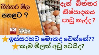 බිත්තර නිෂ්පාදනයට පාඩු නැද්ද  ඉස්සරහට මොනව වෙයිදකෑම මිලත් අඩු වෙයිද😕😕🫵 [upl. by Edras]