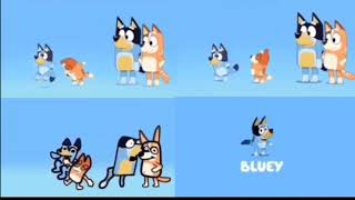 Bluey Intro Vs Bingo Intro Vs Bluey Homemade Intro Vs Pilot Intro [upl. by Rozek]