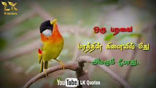 Tamil Life Motivation video  சண்டை போடாதீர்கள்  Motivational WhatsApp status  Motivation status [upl. by Canotas955]