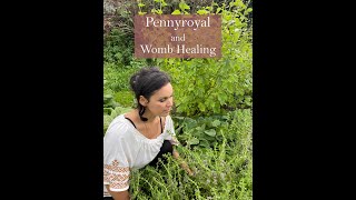 Pennyroyal and womb healing from the Ivywood Garden [upl. by Nade]