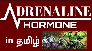 Adrenaline Hormone  Fight or Flight Hormone  Tamil  By Chandru [upl. by Areek255]