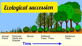 Succession  Ecology part1 lec14  By Rubi [upl. by Aneehsit962]