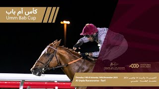 4th Al Rayyan Race meeting  Umm Bab Cup Div 2 [upl. by Jaycee]