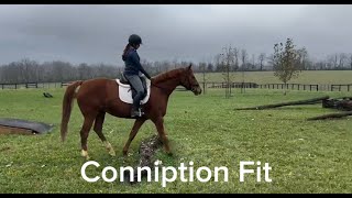 CONNIPTION FIT Trail Adoptable Thoroughbred Mare New Vocations [upl. by Kalvin]