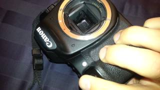 Canon 40D err99 shutter and mirror [upl. by Dyane]