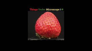 Unseen Worlds Under the Microscope amazingscience facts microscopicwonders [upl. by Iretak448]