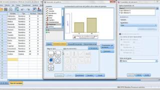 generación de gráficos en SPSS [upl. by Aissatan241]