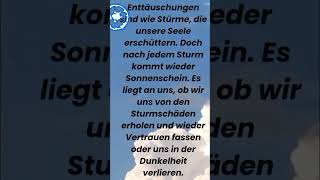 quotEnttäuschung und Vertrauenquotsprüche vertrauen beziehunggefühle [upl. by Angadreme75]