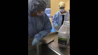 Sterile Processing Tech  Receiving Surgical Instruments from OR  AIMS Education [upl. by Tshombe555]