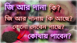 জি আর দানা কি জি আর দানায় কি আছে কেনো দেবেন গাছে ফুল ফল আনতে গাছের সার্বিক বৃদ্ধিতে ব্যবহার করুন [upl. by Essie945]