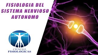 Fisiologia del Sistema Nervioso Autonomo [upl. by Krell]