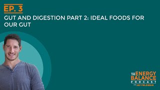 Ep 3 Gut and Digestion Part 2 Ideal Foods For Our Gut [upl. by Bern]