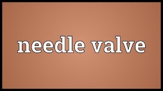 Needle valve Meaning [upl. by Adon]