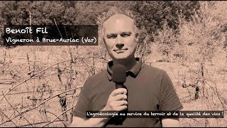 Pourquoi intercaler des érables entre les ceps de vigne [upl. by Bahner766]