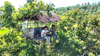 Berkemah di Rumah Pohon Hujan Mancing dan Membakar ikan Shelter nyaman [upl. by Llebasi]