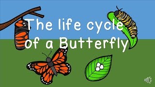 The Life Cycle of a Butterfly [upl. by Nosrak268]