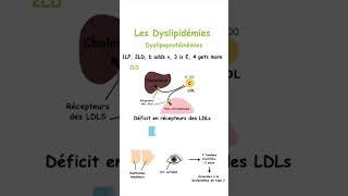 Retenez les Différentes Dyslipidémies sans Effort grâce à cette Méthode Mnémotechnique shorts [upl. by Gisele94]