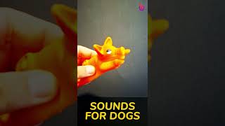 PUPPY Toy Squeaky Sound dogsound dog puppy [upl. by Viglione618]