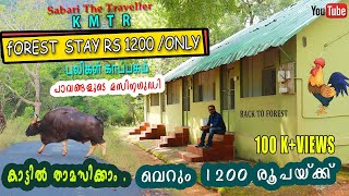 KALAKKAD MUNDANTHURAI TIGER RESERVE  1200 രൂപയ്ക്കു കൊടും വനത്തിനുള്ളിൽ താമസിക്കാം [upl. by Mellicent]