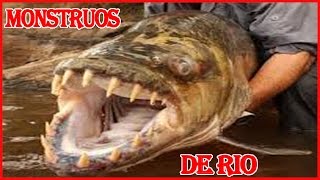 ✔MONSTRUOS DE RIO  RIVER MONSTERS [upl. by Esma]