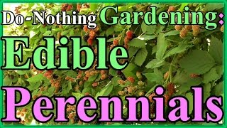 Toward a Donothing Gardening pt 2 Edible Perennials Lazy Gardening [upl. by Ogden910]