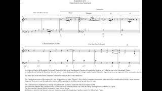 Analysis of Form in Beethovens Piano Sonata No 1 in F minor Op 2 [upl. by Cul]