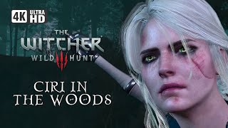 Ciri in The Forest  Book Geralt  The Witcher 3  Wild Hunt  4K [upl. by Crispa]