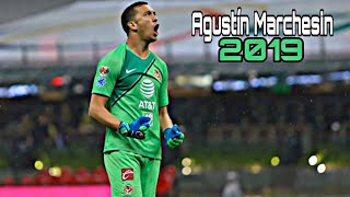 Agustín Marchesin Mejores Atajadas 2019•Club America [upl. by Ayital]