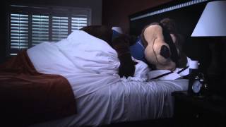 Travelodge Sleepy Bear  Comfy Room [upl. by Ruhl]