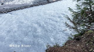 OVERLOOKING THE BEAUTIFUL MILKY amp OPAQUE White River on Skookum Flats Trail  4K  Washington [upl. by Nytnerb]