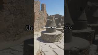 Time Capsule Unlocked Pompeiis Last Day Revealed [upl. by Lledroc]