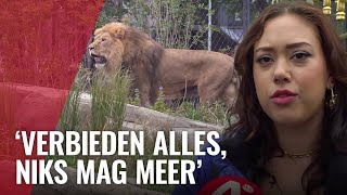 Moeten dieren in Artis vervangen door virtual reality [upl. by Yekram357]