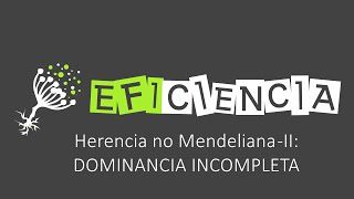 DOMINANCIA INCOMPLETA O INTERMEDIA Herencia no Mendeliana II [upl. by Eelrebmyk]