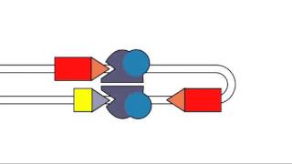 5 1 VDJ Recombination [upl. by Otrebcire]