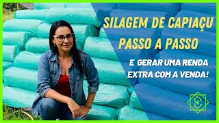 Fazendo Silagem Ensacada de Capiaçu passo a passo [upl. by Elyrrad]