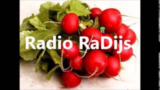 Radio RaDijs [upl. by Amoihc812]